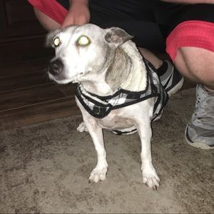 Meet your Posher, Debra